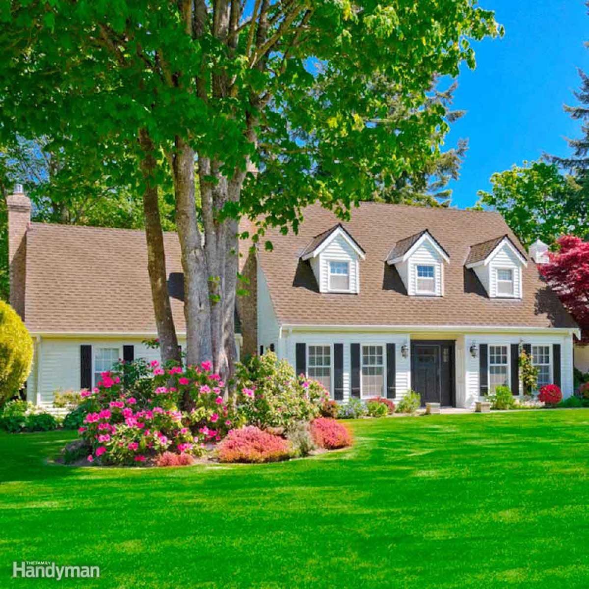 Curb Appeal