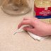 What Removes Permanent Marker? 8 DIY Fixes That Work