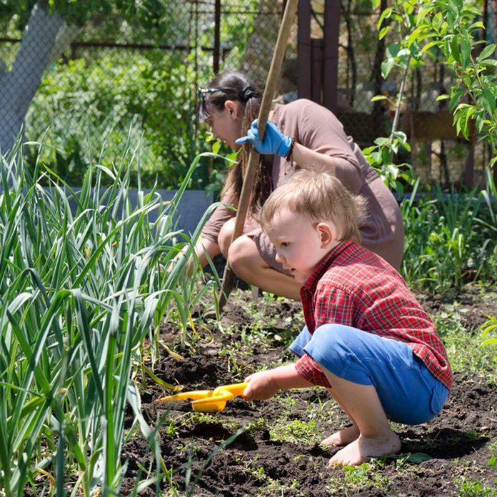 gardening