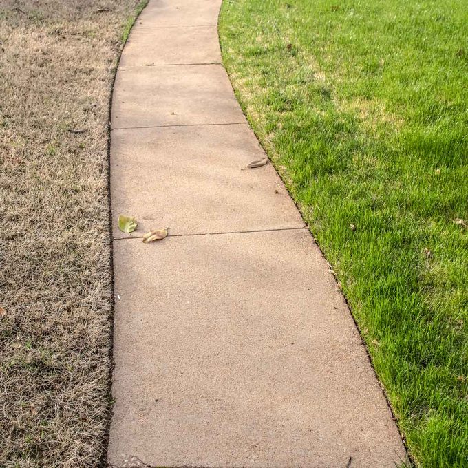 Top 10 Most Common Grass Problems