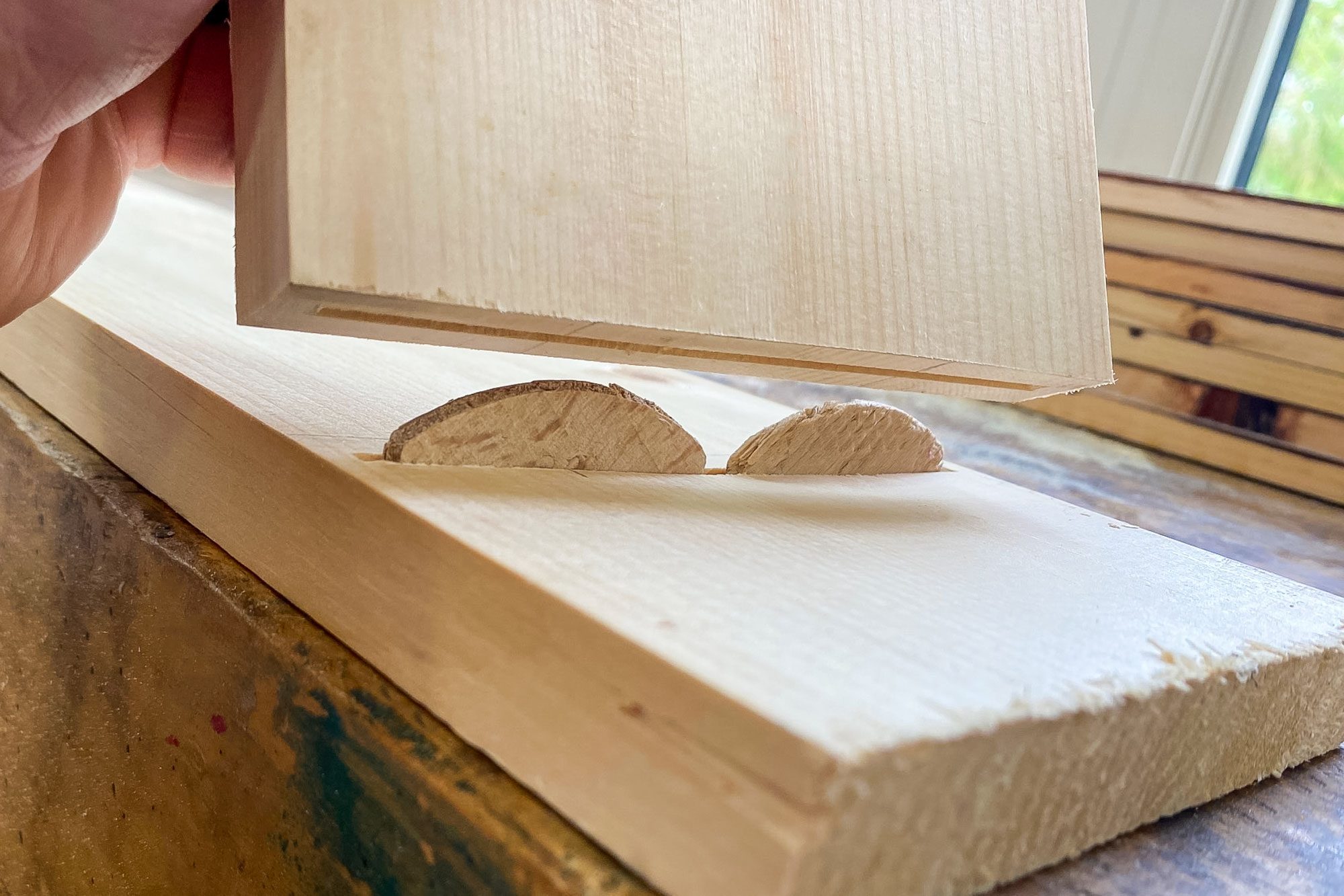 Test Fitting Biscuit Joint