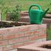 5 Ways To Grow Tomatoes