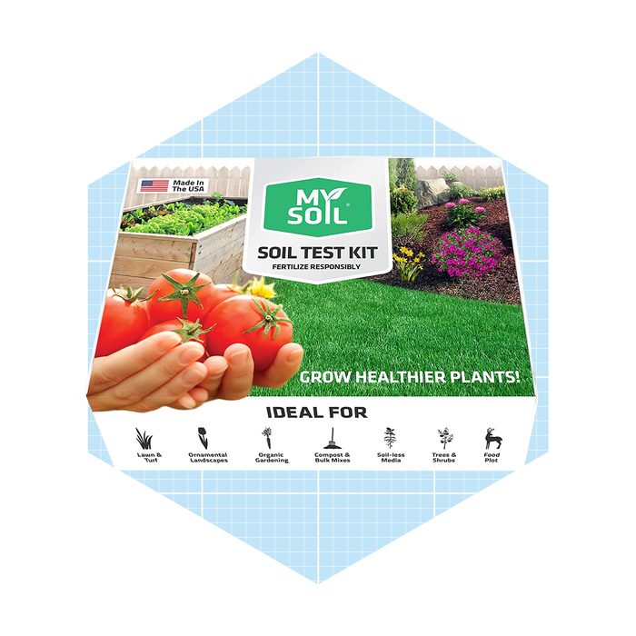 A soil test kit is displayed, featuring tomatoes in hands. The background shows a lush garden with grass, flowers, and a wooden planter box.