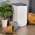 The 5 Best All-in-One Washer/Dryers for 2025