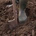 5 Best Digging Shovels of 2025