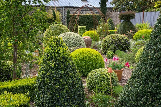 Homeowner’s Guide to Shrub Care