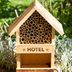6 Best Bug Hotels of 2025