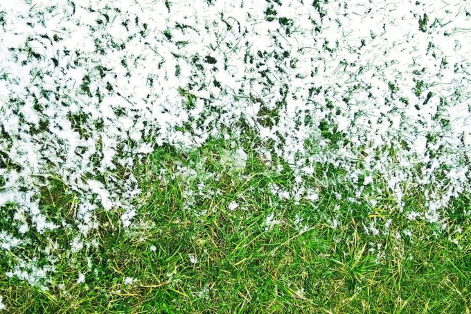 11 Tips to Get Your Lawn Ready for Winter Right Now