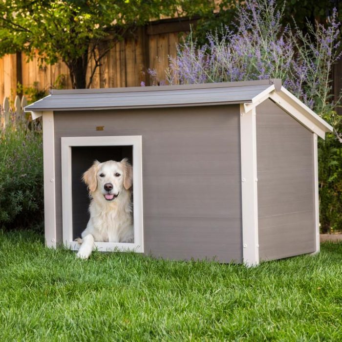 7 Best Heated Doghouses of 2025 – Honest Review!