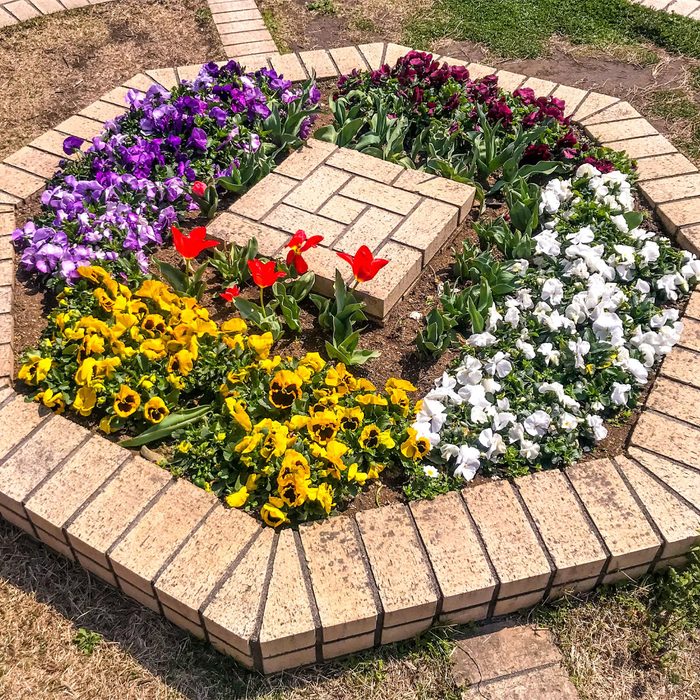 A patterned flower bed displays vibrant blooms in purple, red, yellow, and white, surrounded by a brick border on grass. Sunlight highlights the colors.