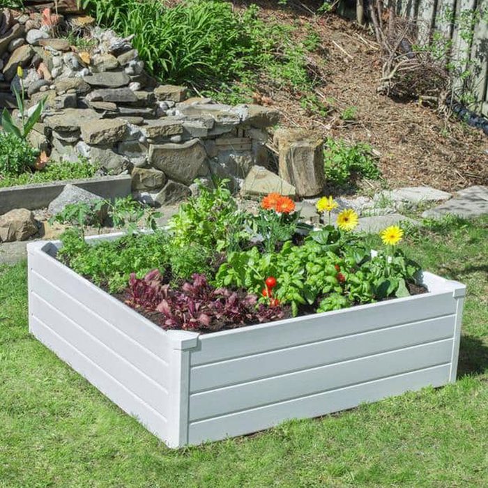 A white raised garden bed holds various vegetables and flowers, flourishing under sunlight, surrounded by grass and a stone feature in the background.