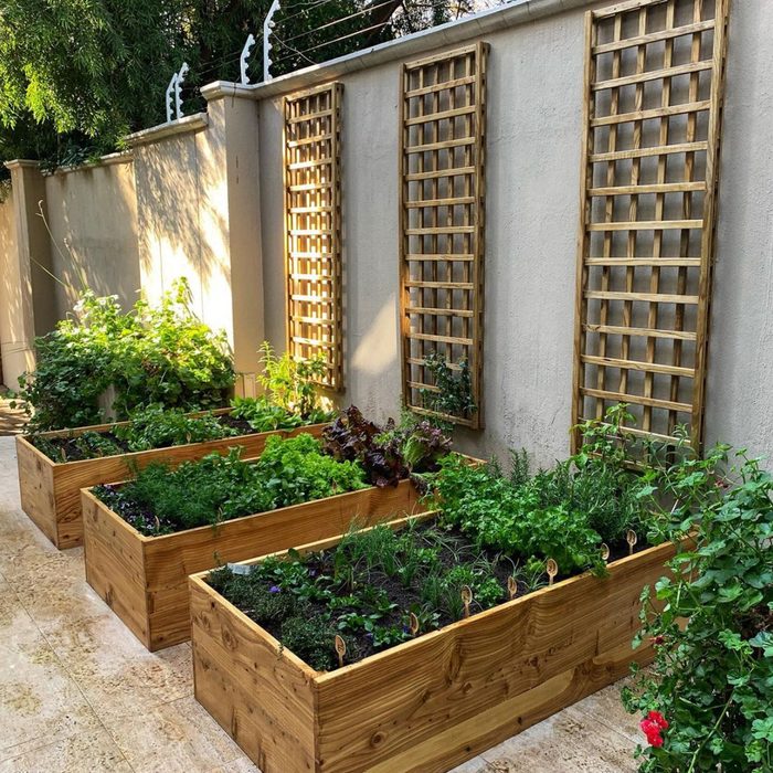 Wooden garden boxes filled with various herbs and plants are arranged against a wall, flanked by wooden trellises, in a sunlit outdoor setting.