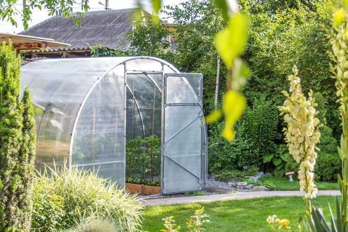 9 Types of Greenhouses