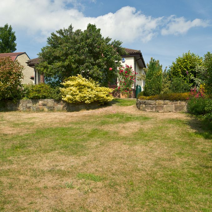 How To Save Your Lawn During Water Restrictions and Drought