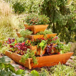 A tiered wooden planter displays various vibrant herbs and vegetables, thriving in a lush garden surrounded by green foliage and tall grasses.