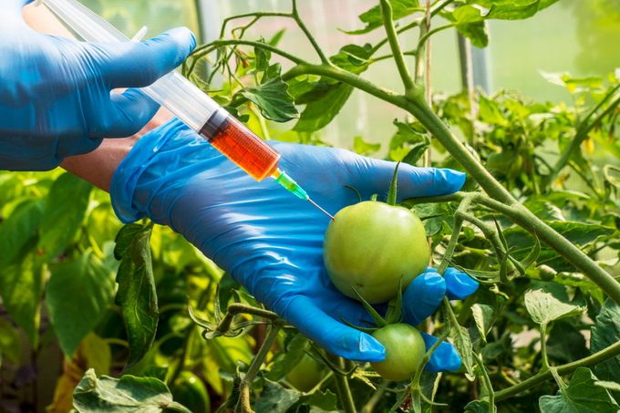 What Are GMOs? What To Know