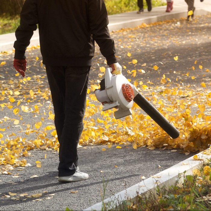 The 7 Best Leaf Blowers to Clear Your Yard of Leaves and Debris