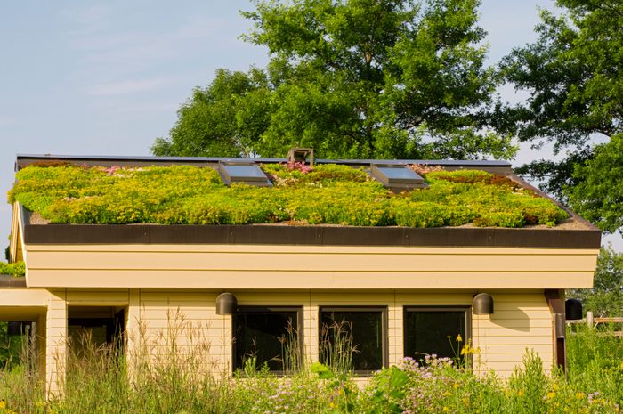 10 Types of the Best Roofing Materials