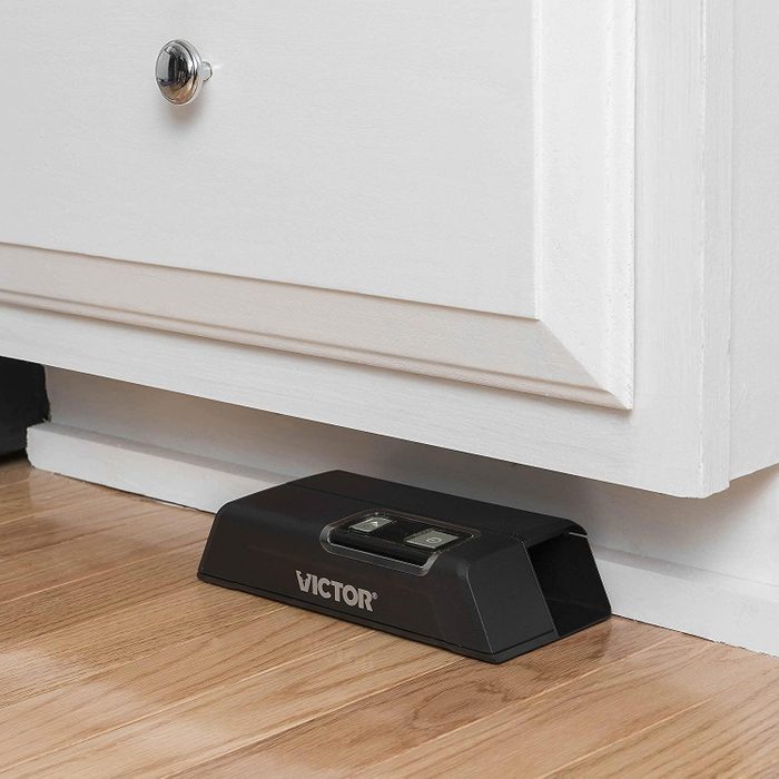 7 Top-Rated Mouse Traps for Your Home: Including Electronic & Reusable Options