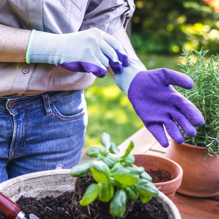 7 Best Gardening Gloves For 2025