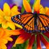 This New Energy-Saving Paint Was Inspired by Butterflies