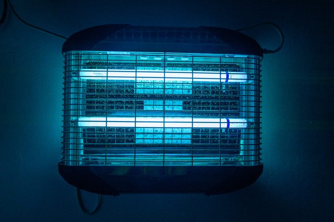 What’s the Best Indoor Mosquito Trap to Catch and Kill Mosquitos Inside Your Home?