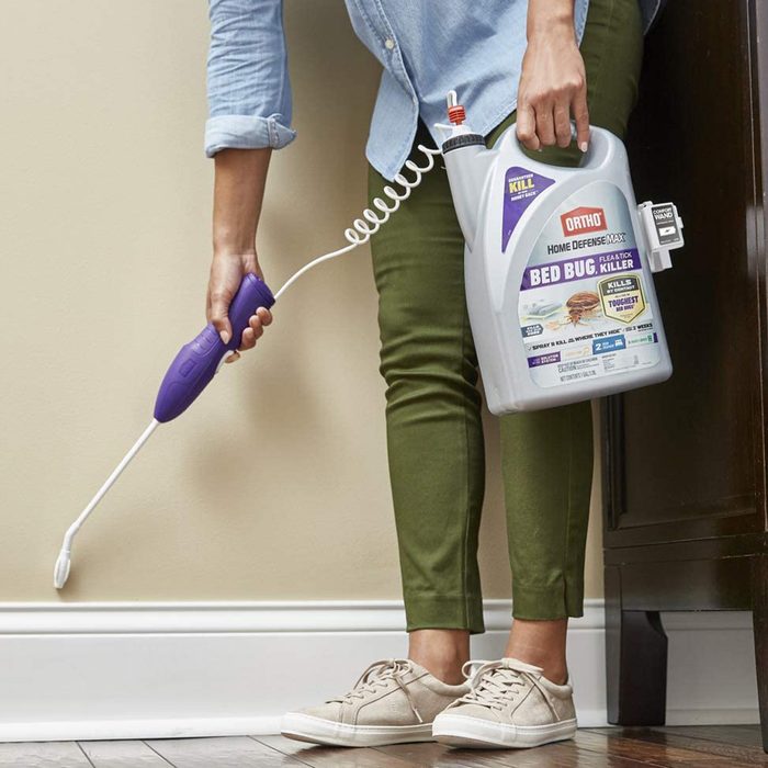 Get Rid of Bed Bugs FAST With The 7 Most Effective Sprays That Actually Work