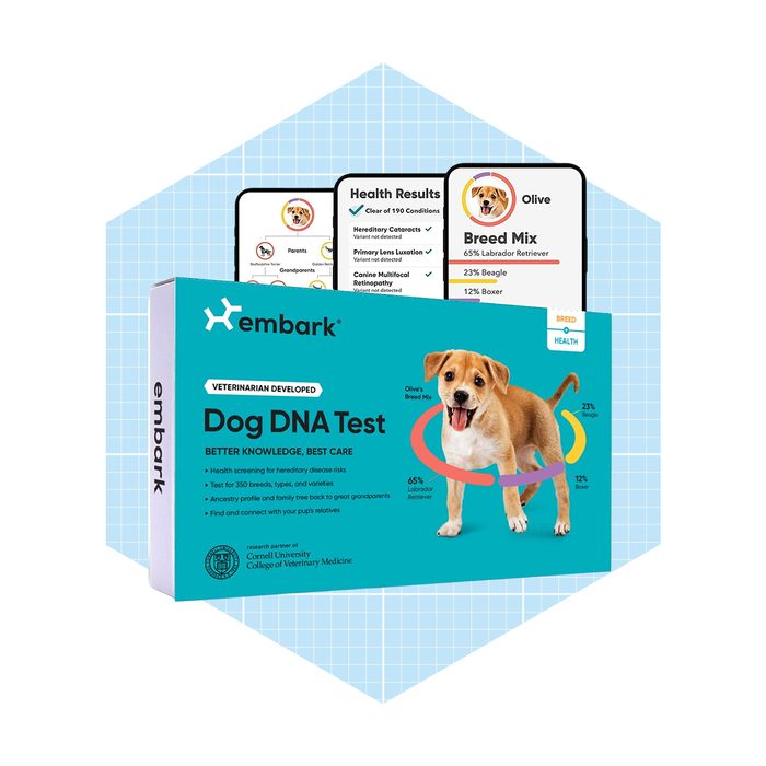 A box for a dog DNA test is prominently displayed, showing health results and breed percentages, set against a light blue geometric background.