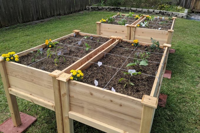 How To Fill Raised Gardening Beds for a Successful Harvest
