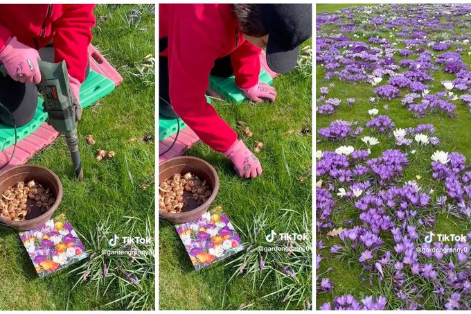 This Power Drill Gardening Hack Is the Easiest Way to Plant Bulbs