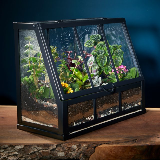 How To Make a Terrarium