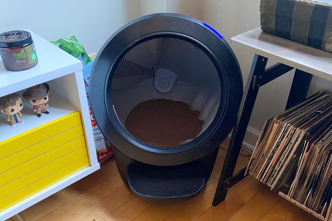 Litter Robot 4 Review: We Tried the Ultimate Smart Litter Box