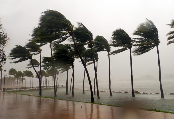 How to Help After Hurricane Helene