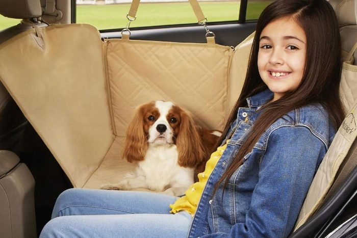 9 Best Dog Car Seat Covers for Easier Cleaning