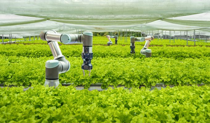 The Next Big Thing In Gardening: Talking Plants?