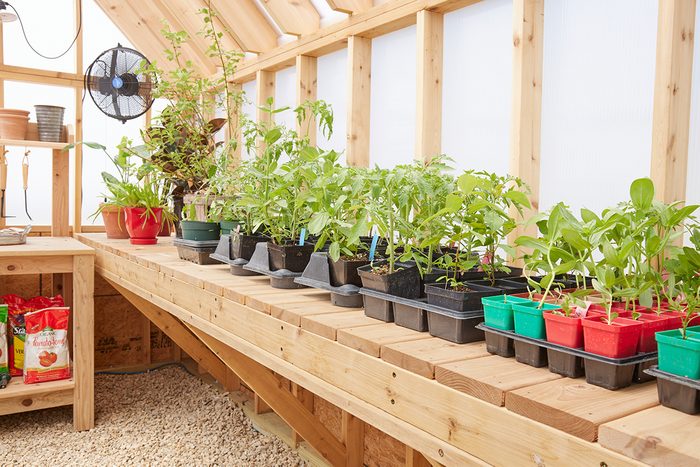 Amazing Greenhouse Shelving Buy and DIY Ideas for Organized Plant Storage