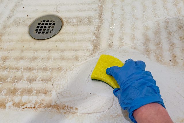 A Guide to Removing Surface Mold Safely and Quickly