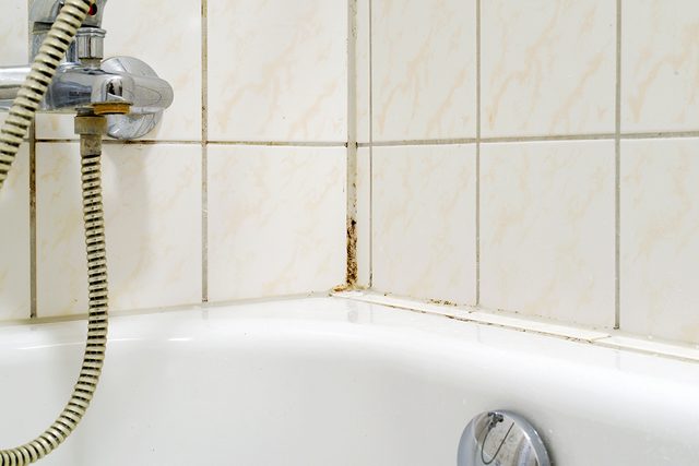 Removing Mold From Shower Caulking, Step by Step