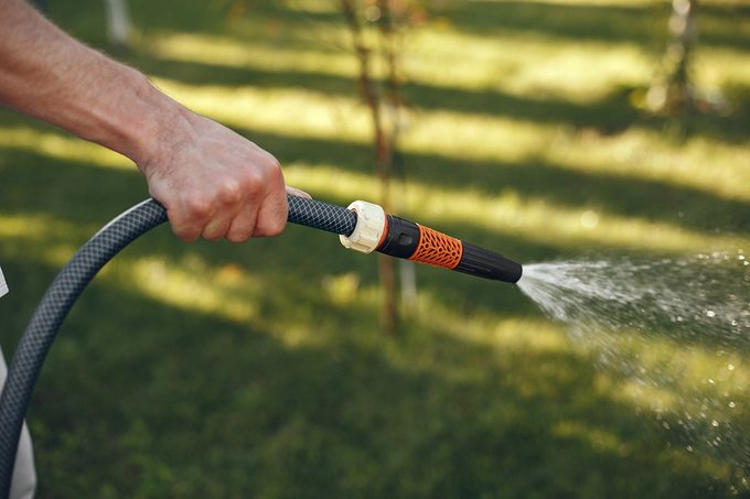 Lawn Watering Tips for Yards With Lots of Trees
