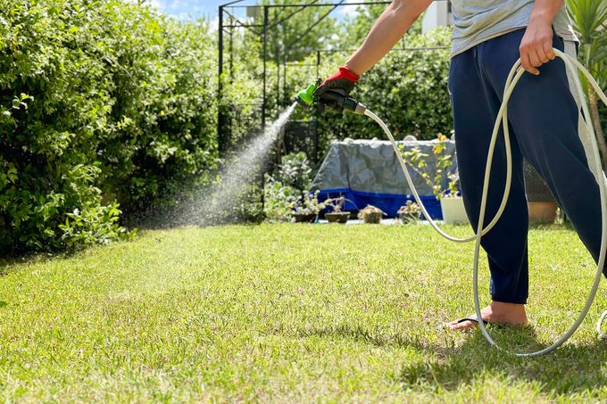 Bring New Grass Seed To Life With These Watering TIps
