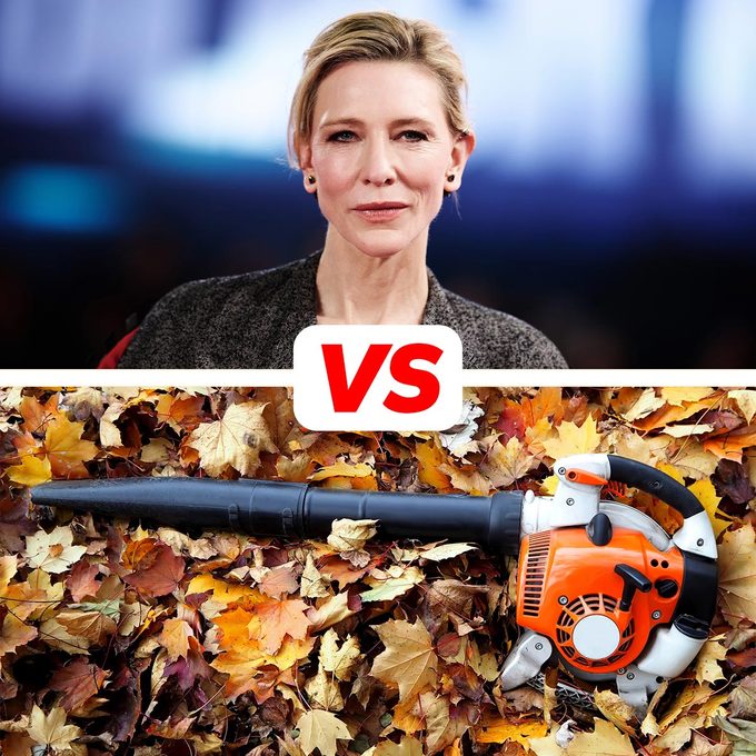 Why Does This Hollywood Celebrity Hate Leaf Blowers?