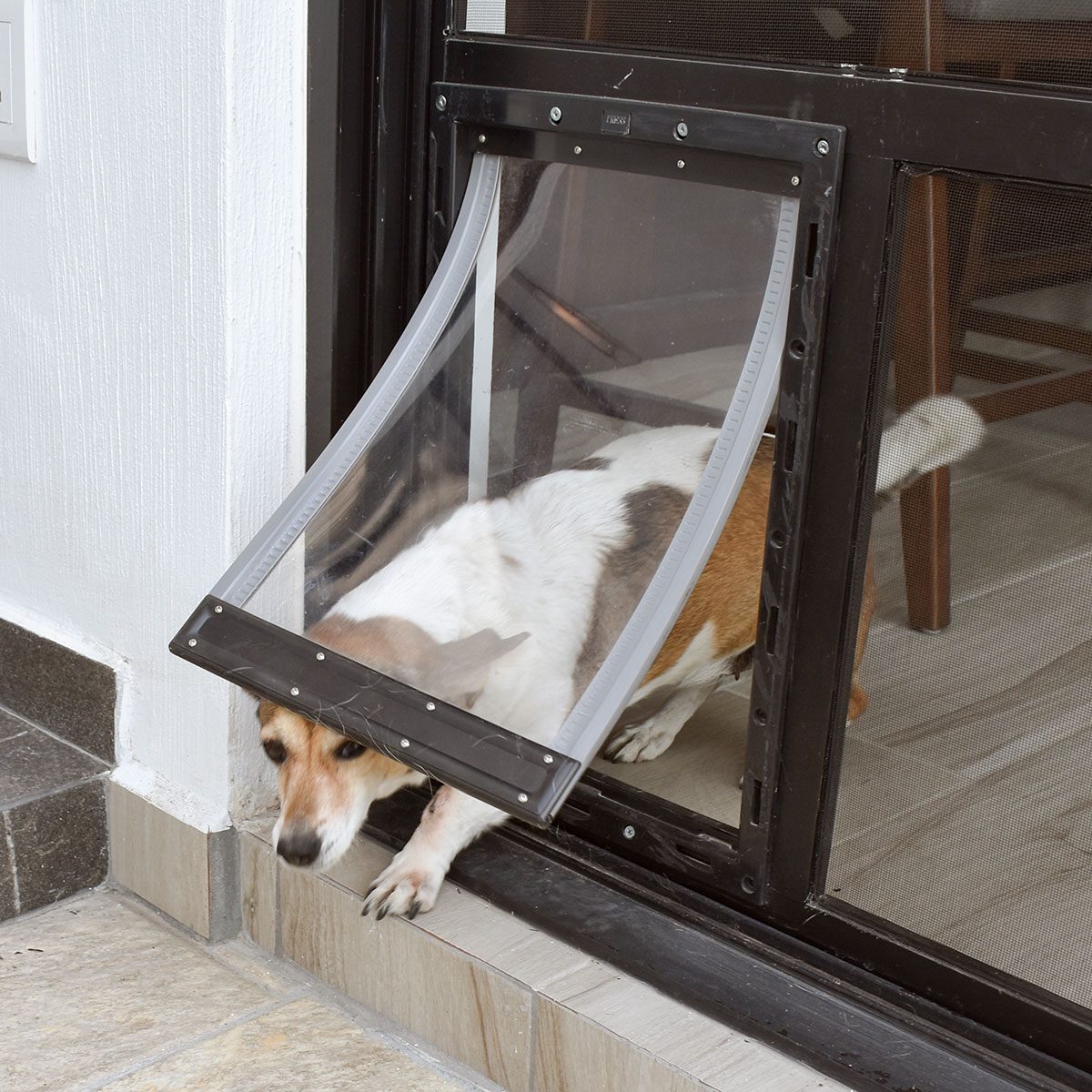 Pet door being used by a dog