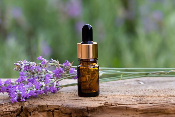 Photo of composition with fresh lavender and glass bottle with dropper on wooden desk. Nature background with copyspace. Selective focus