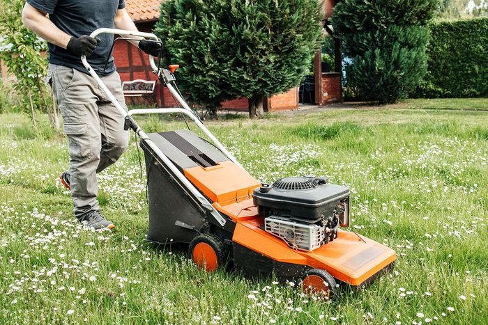 A man mows the grass with an electric lawn mower