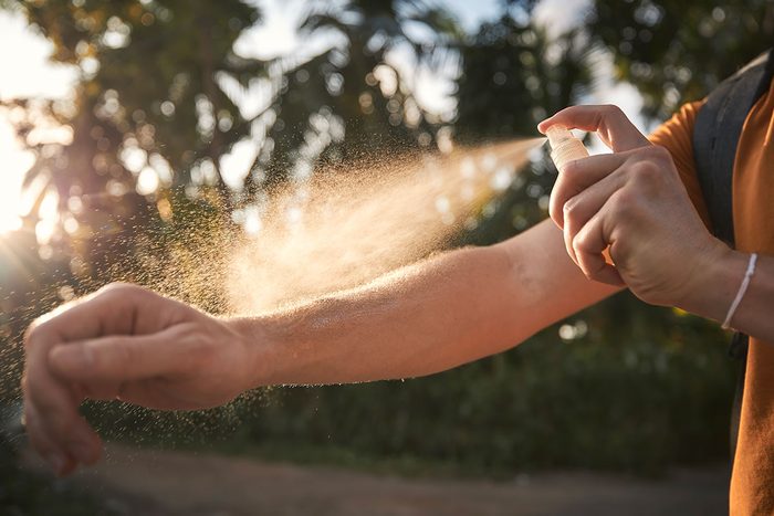 10 Natural Tick Repellents and Their Effectiveness Explained