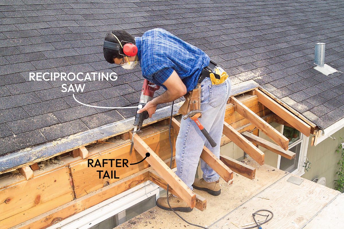 Cut Away The Roof