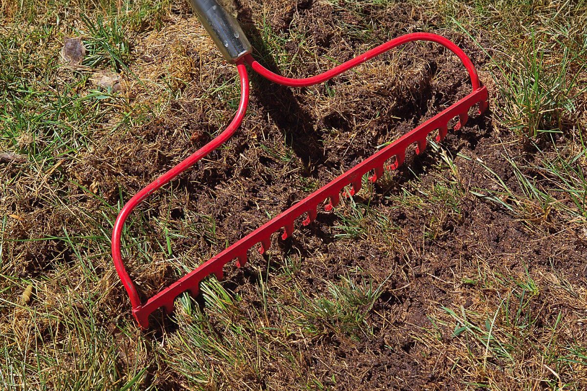 Expose Bare Soil