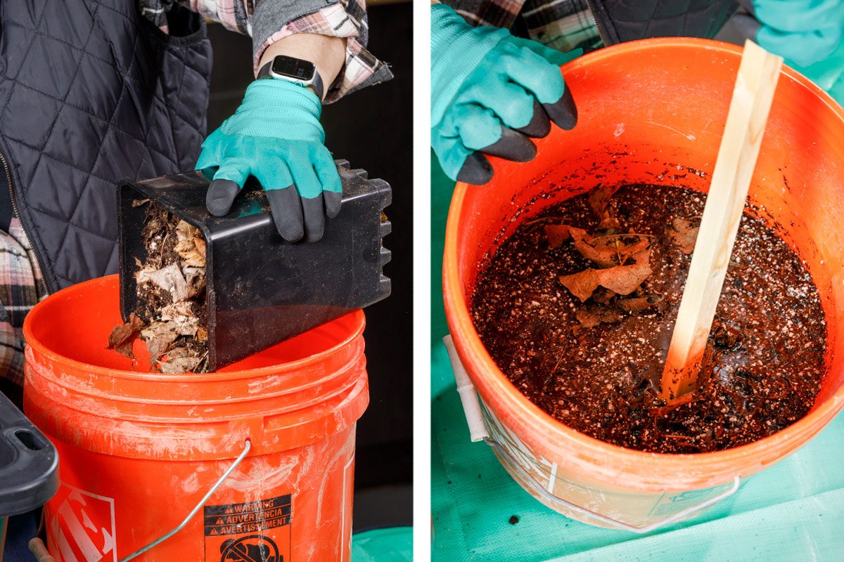 Making Compost Tea For Healthier Plants