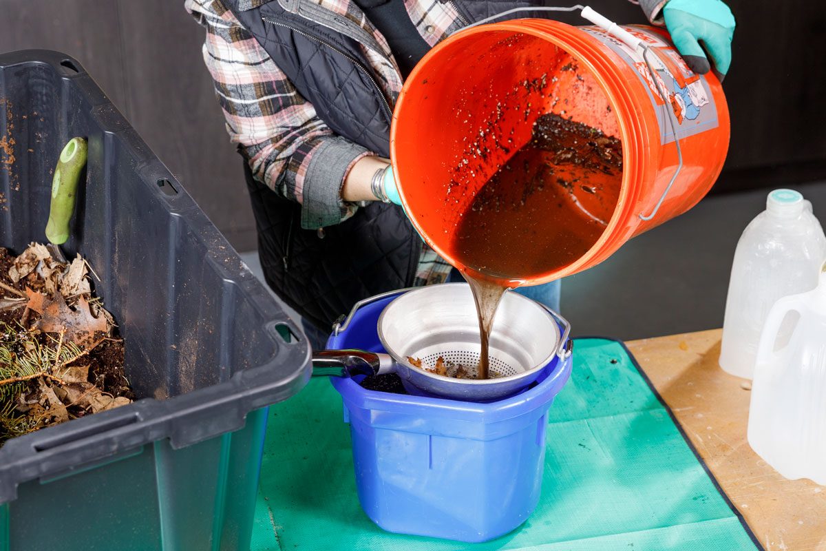 Making Compost Tea For Healthier Plants