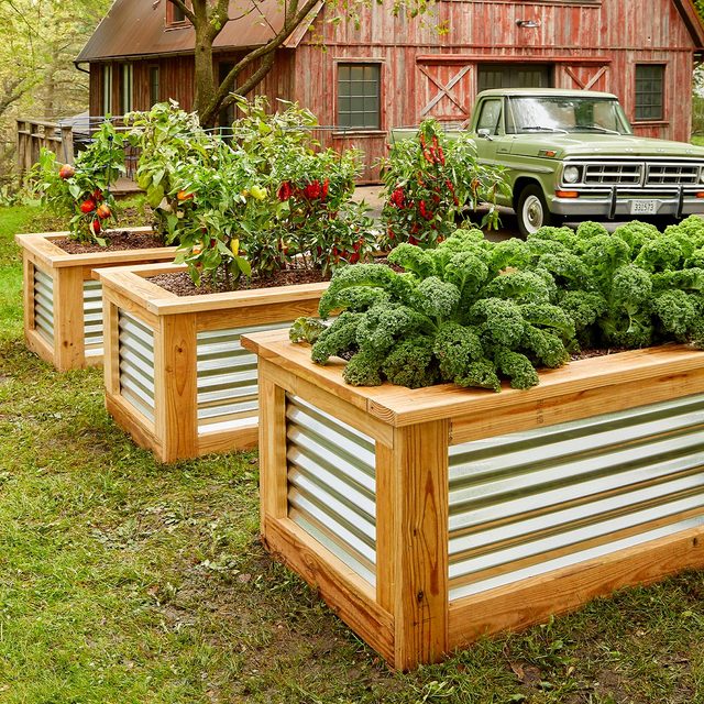 How to Build a Raised Garden Bed
